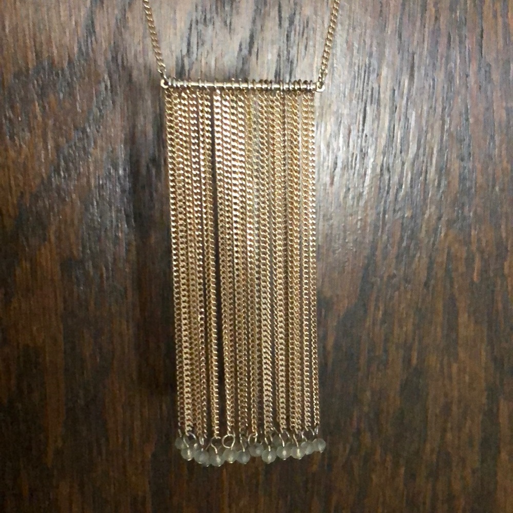 Banana Republic long chain necklace